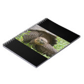 Riesenschildkröte Notizblock (Linke Seite)