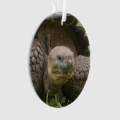 Riesenschildkröte Ornament (Vorderseite)