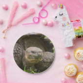 Riesenschildkröte Pappteller (Party)