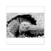 Riesenschildkröte Permastempel (Design)