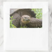 Riesenschildkröte Rechteckiger Aufkleber (Tasche)