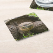 Riesenschildkröte Rechteckiger Pappuntersetzer (angewinkelt)