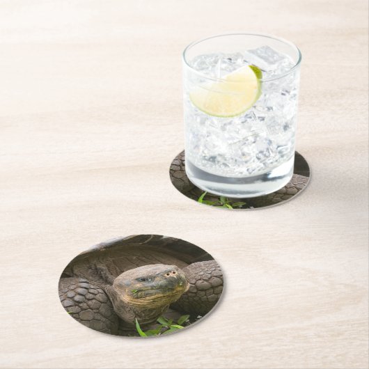 Riesenschildkröte Runder Pappuntersetzer (Vor Ort)