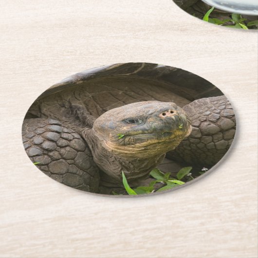 Riesenschildkröte Runder Pappuntersetzer (Angewinkelt)