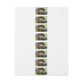 Riesenschildkröte Rundum-Adressaufkleber (Bogen)