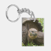 Riesenschildkröte Schlüsselanhänger (Vorderseite links)