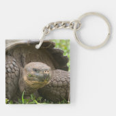 Riesenschildkröte Schlüsselanhänger (Rückseite)