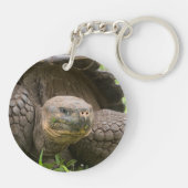 Riesenschildkröte Schlüsselanhänger (Rückseite)