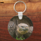 Riesenschildkröte Schlüsselanhänger (Vorderseite)