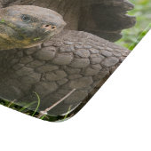 Riesenschildkröte Schneidebrett (Ecke)