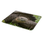 Riesenschildkröte Schneidebrett (Ecke)