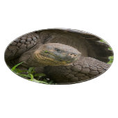 Riesenschildkröte Schneidebrett (Ecke)