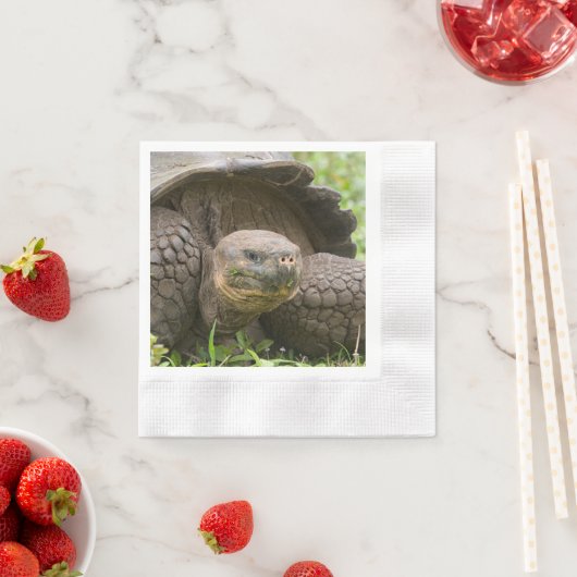 Riesenschildkröte Serviette (Beispiel)