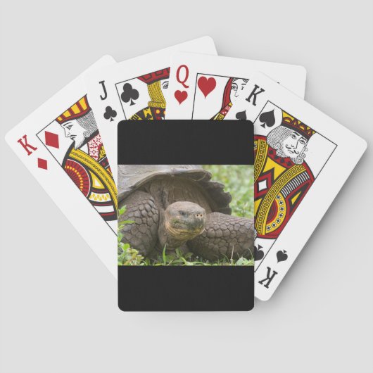 Riesenschildkröte Spielkarten (Rückseite)