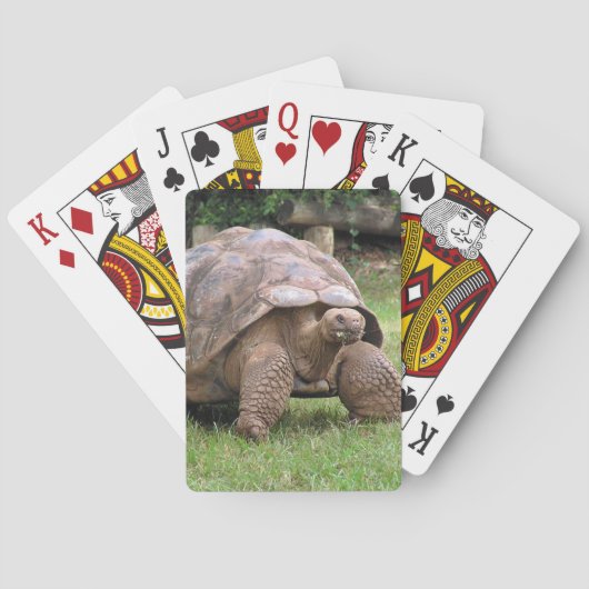 Riesenschildkröte Spielkarten (Rückseite)