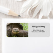 Riesenschildkröten-Foto personalisierte Rücksendea (Insitu)