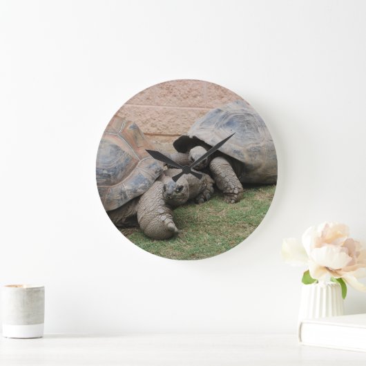 Riesenschildkröten Große Wanduhr (Zuhause)