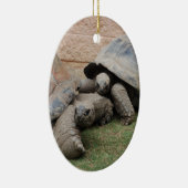 Riesenschildkröten Keramikornament (Rechts)