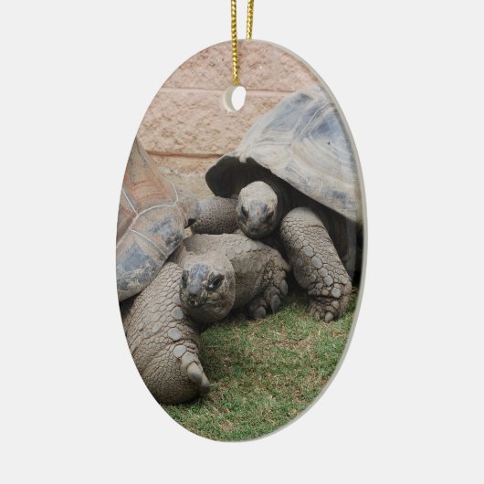 Riesenschildkröten Keramikornament (Links)