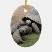 Riesenschildkröten Keramikornament (Vorne)