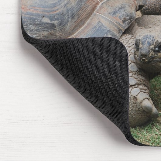 Riesenschildkröten Mousepad (Ecke)