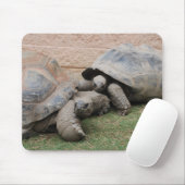 Riesenschildkröten Mousepad (Mit Mouse)