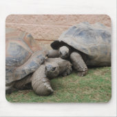 Riesenschildkröten Mousepad (Vorne)