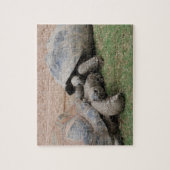Riesenschildkröten Puzzle (Vertikal)