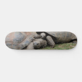 Riesenschildkröten Skateboard (Horizontal)