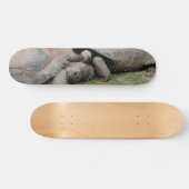 Riesenschildkröten Skateboard (Horizontal)