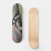 Riesenschildkröten Skateboard (Vorderseite)