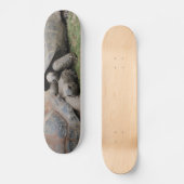 Riesenschildkröten Skateboard (Vorderseite)