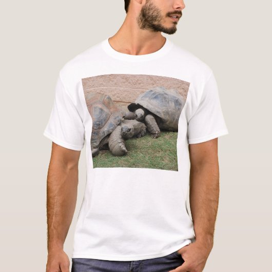 Riesenschildkröten T-Shirt (Vorderseite)