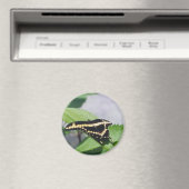 Riesenschmetterling - Magnet (In Situ (Geschirrspüler))