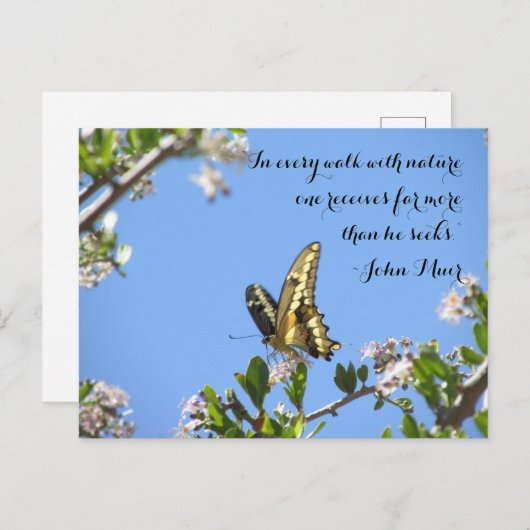 Riesenschmetterling mit John Muir Zitat Postkarte (Vorne/Hinten)