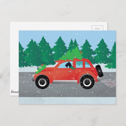 Riesenschnauzer Autofahren - Baum oben Postkarte (Vorne/Hinten)