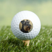 Riesenschnauzer Golfball (Insitu T-Shirt)