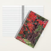 Riesensequenzen und Blätter des Roten Ahorns Notizblock (Innen)