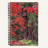 Riesensequenzen und Blätter des Roten Ahorns Notizblock (Vorderseite)