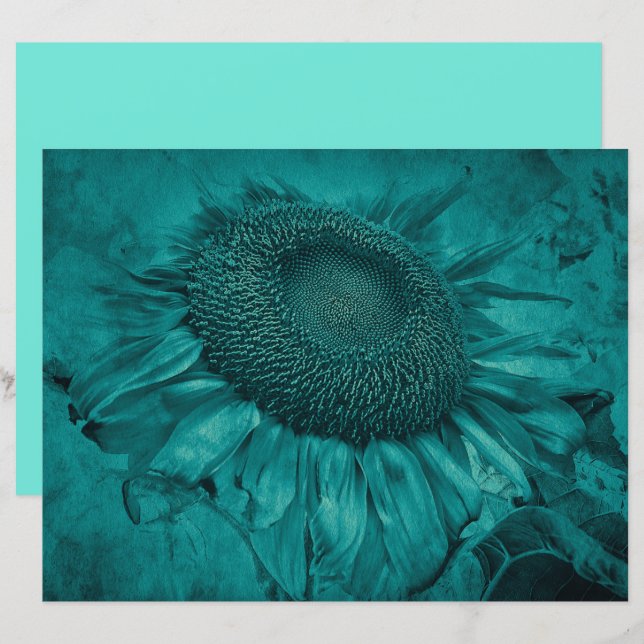 Riesensonnenblume Aquamarin Blau Vintag antike (Vorne/Hinten)
