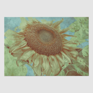 Riesensonnenblume Aquamarin Gelb Grün Vintag Antik Seidenpapier