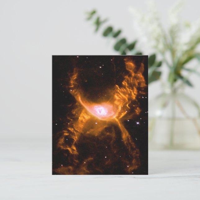 Riesenspinne | Spinnen Lovers Gift (Stehend Vorderseite)