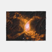 Riesenspinne | Spinnen Lovers Gift Fleecedecke (Vorderseite (Horizontal))