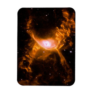 Riesenspinne | Spinnen Lovers Gift Magnet