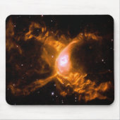Riesenspinne | Spinnen Lovers Gift Mousepad (Vorne)