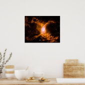 Riesenspinne | Spinnen Lovers Gift Poster (Küche)