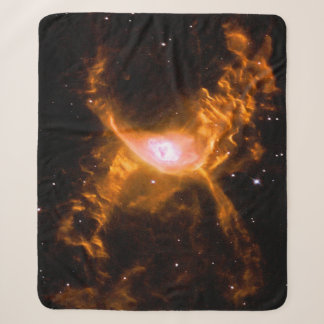 Riesenspinne | Spinnen Lovers Gift Sherpadecke