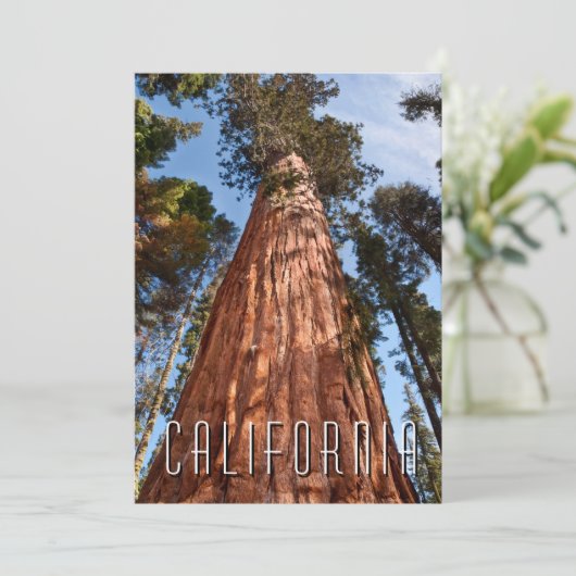 Riesenspinner Dankeskarte (Stehend Vorderseite)