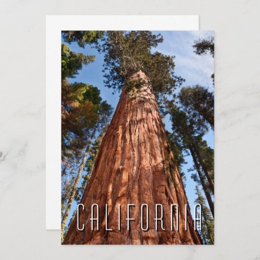 Riesenspinner Dankeskarte (Vorne/Hinten)