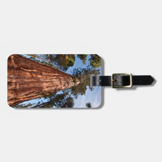 Riesenspinner Gepäckanhänger (Vorderseite horizontal)